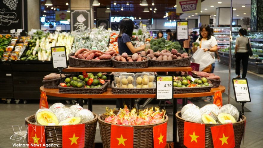 OVs encouraged to expand distribution channels for Vietnamese goods abroad